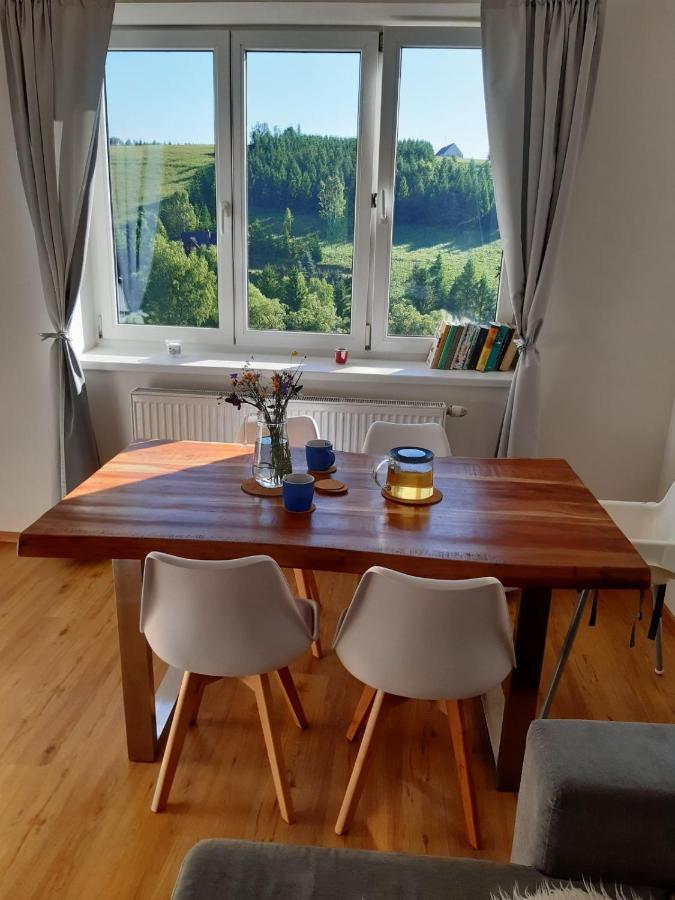 Apartmán u Kunštátského mlýna Orlicke Zahori Exterior foto